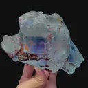 specimen video