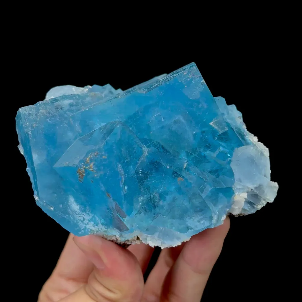 specimen video
