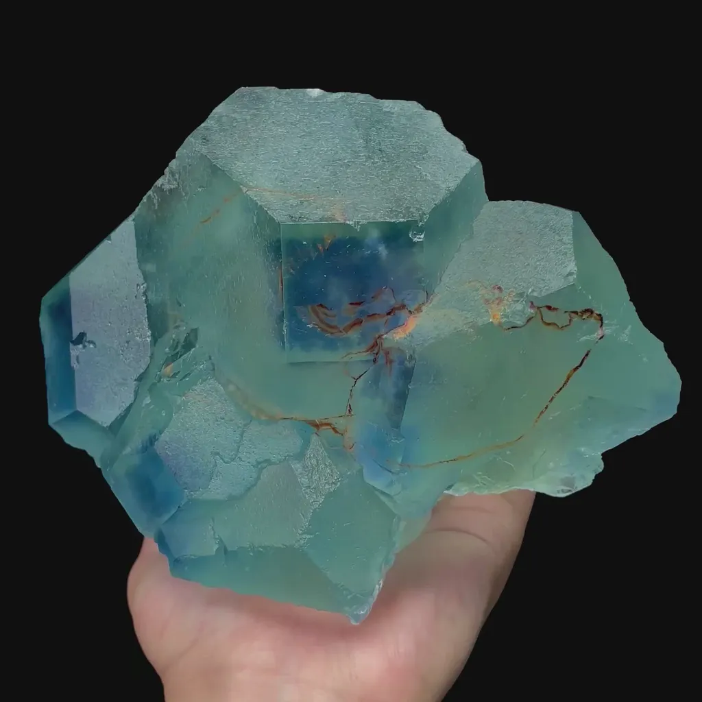 specimen video
