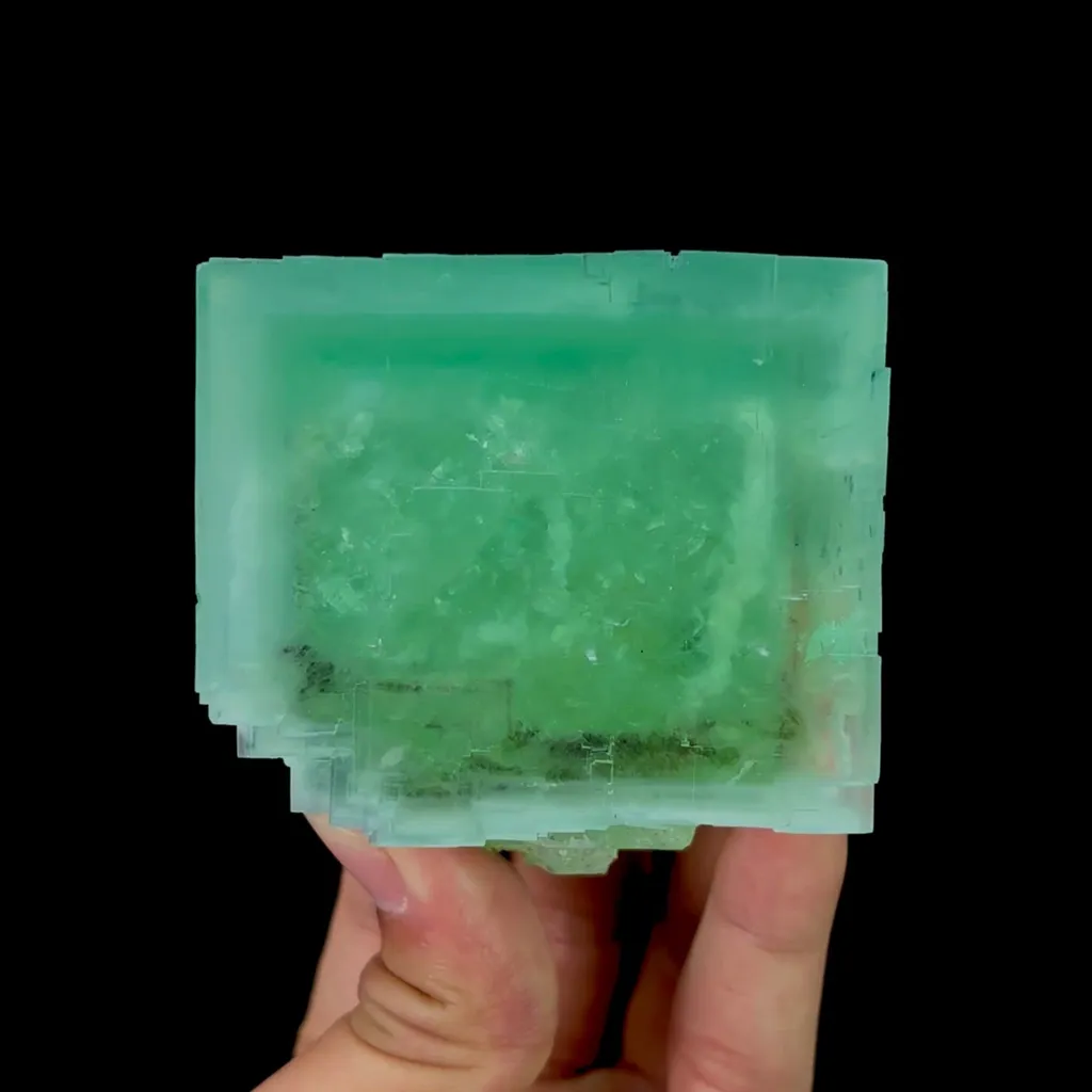 specimen video