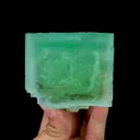 specimen video