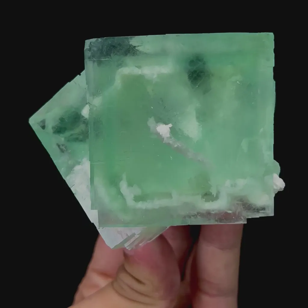 specimen video