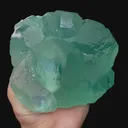 specimen video