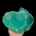 specimen video