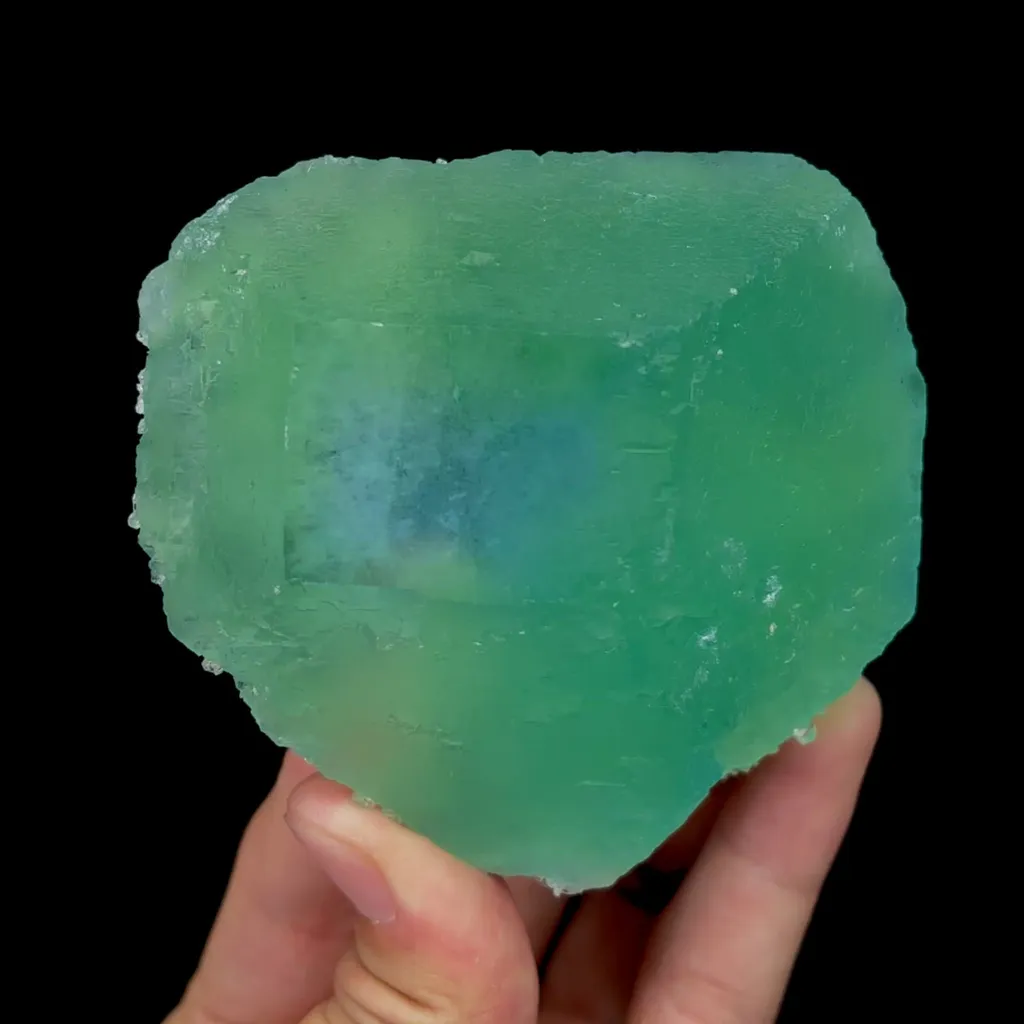 specimen video