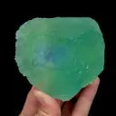 specimen video