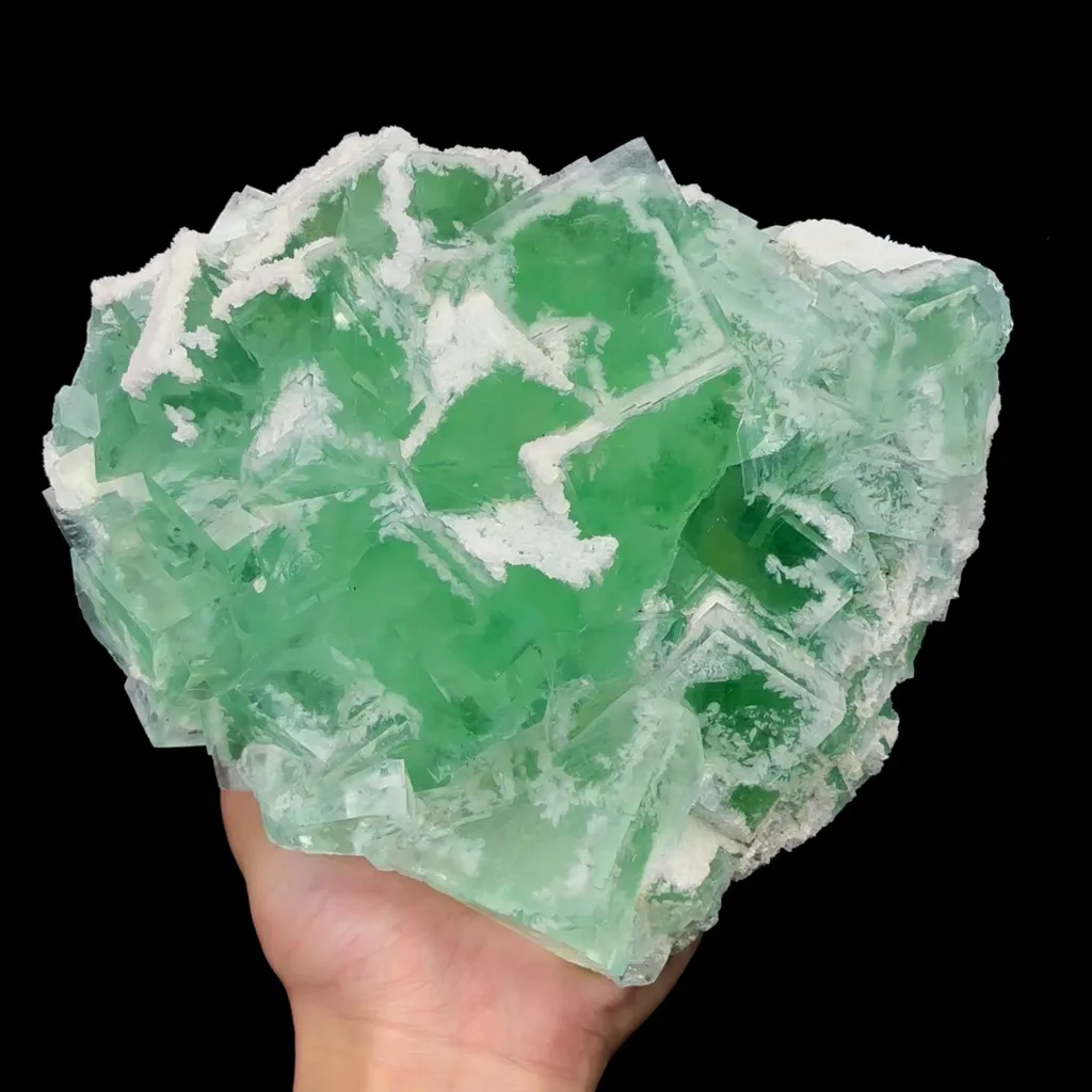specimen video