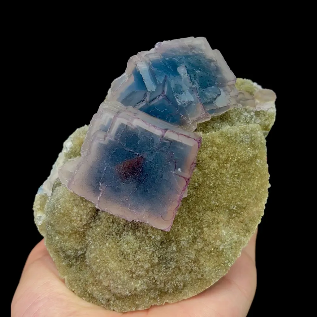 specimen video
