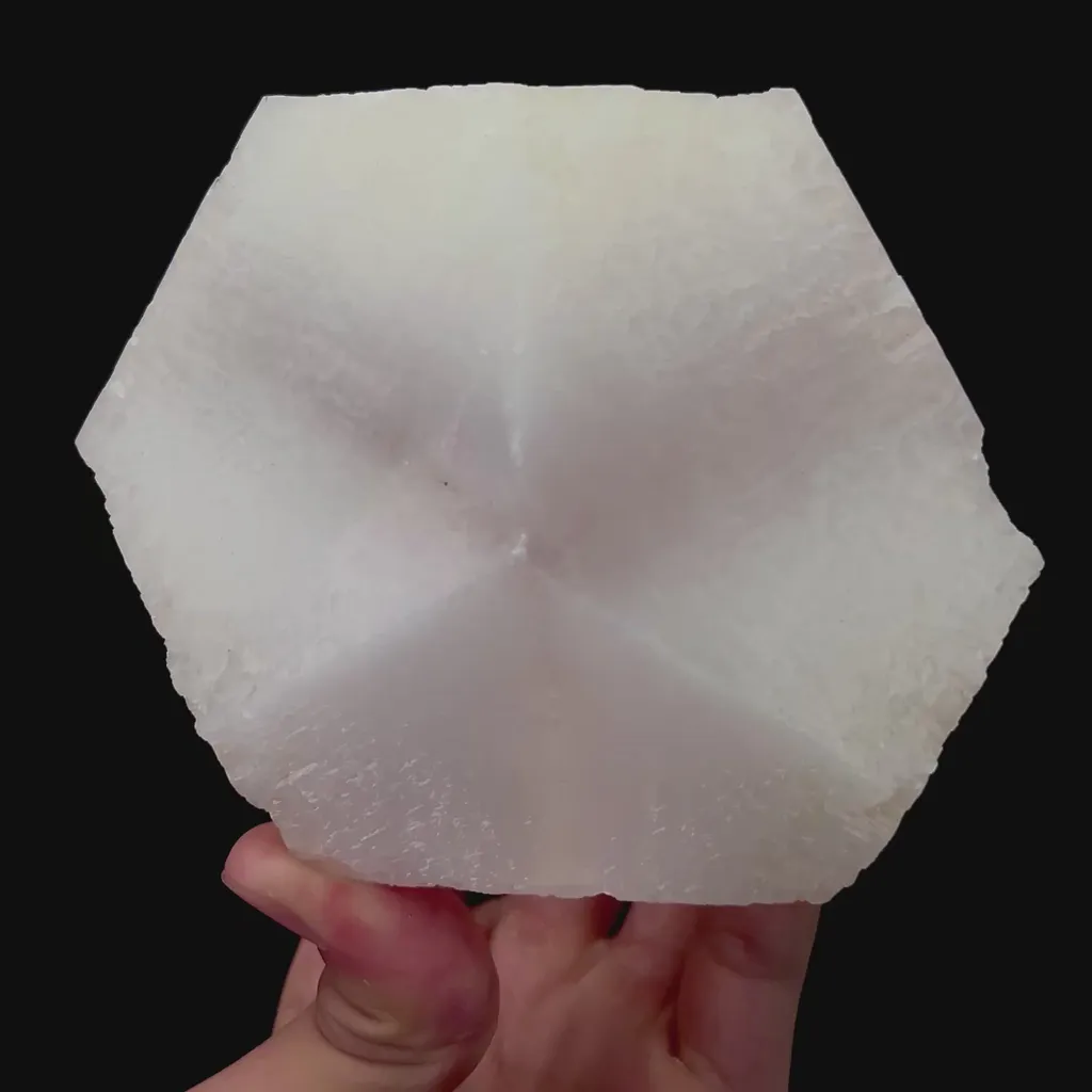 specimen video