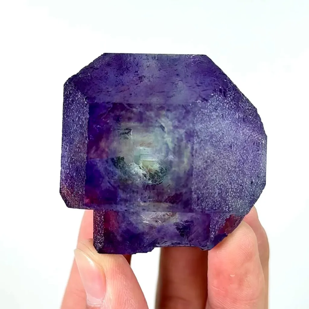 specimen video