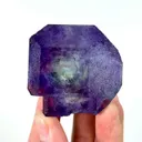 specimen video