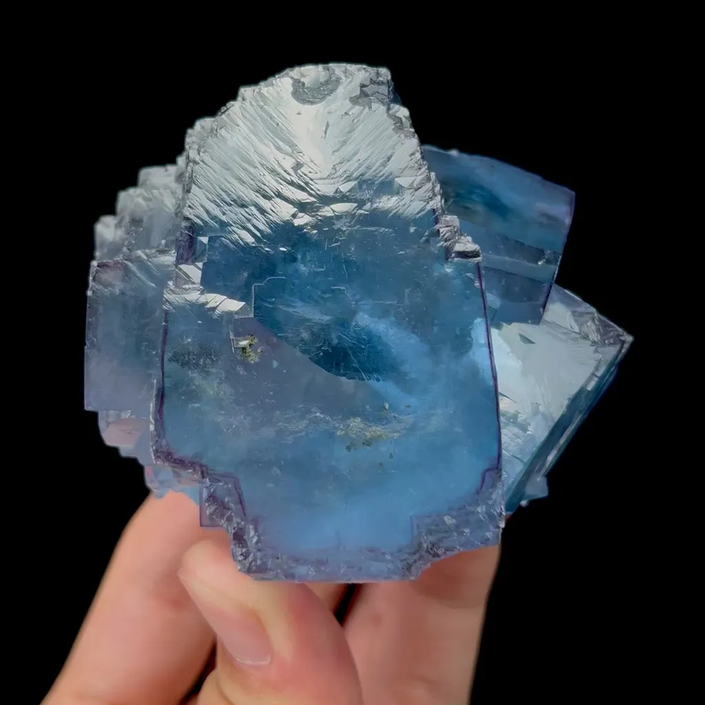 specimen video