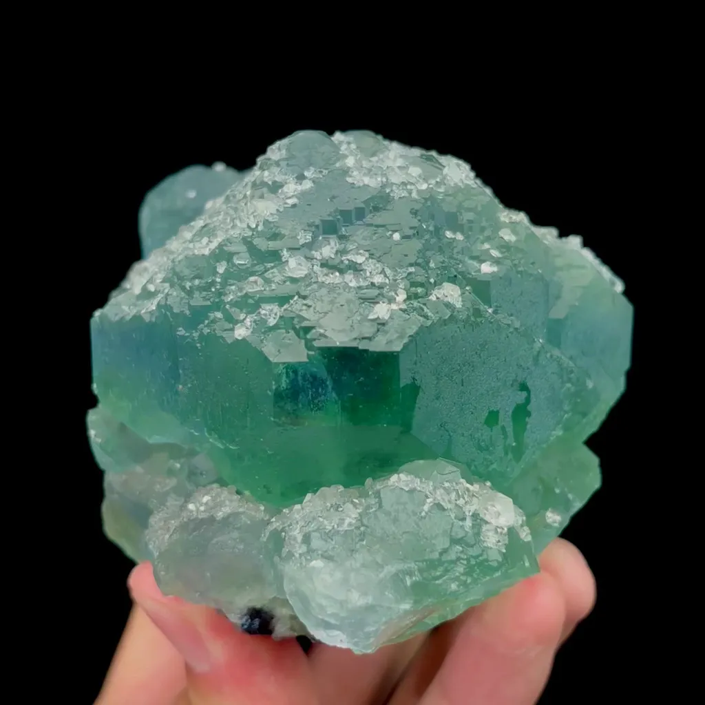 specimen video