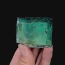 specimen video