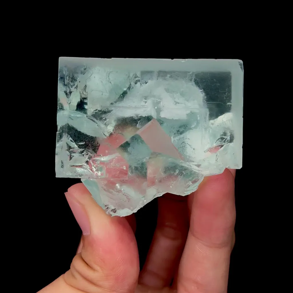 specimen video