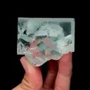 specimen video