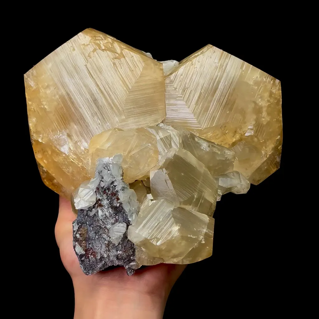 specimen video