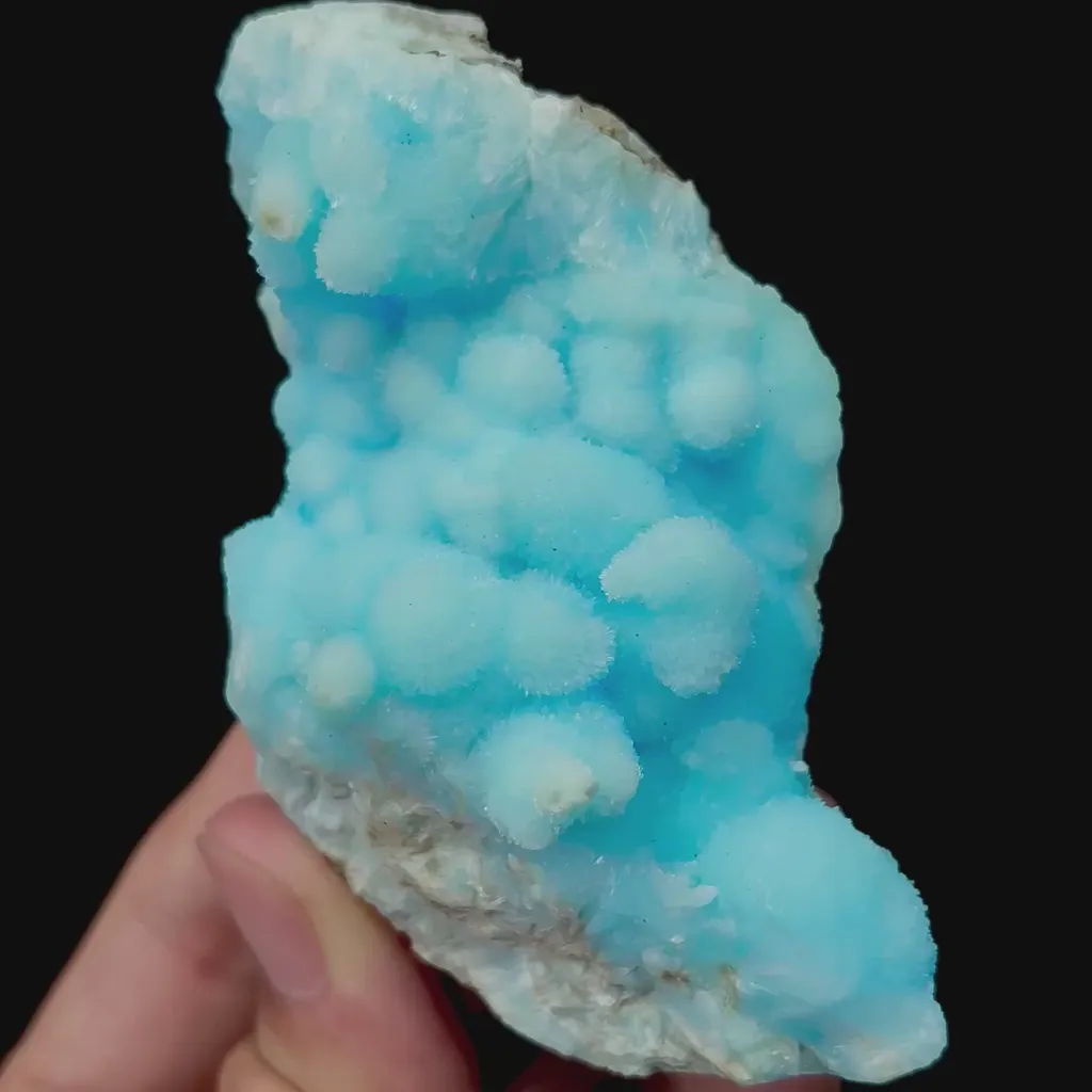 specimen video