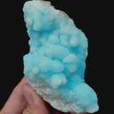 specimen video