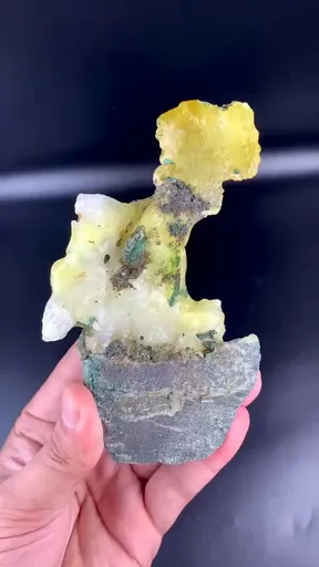 specimen video