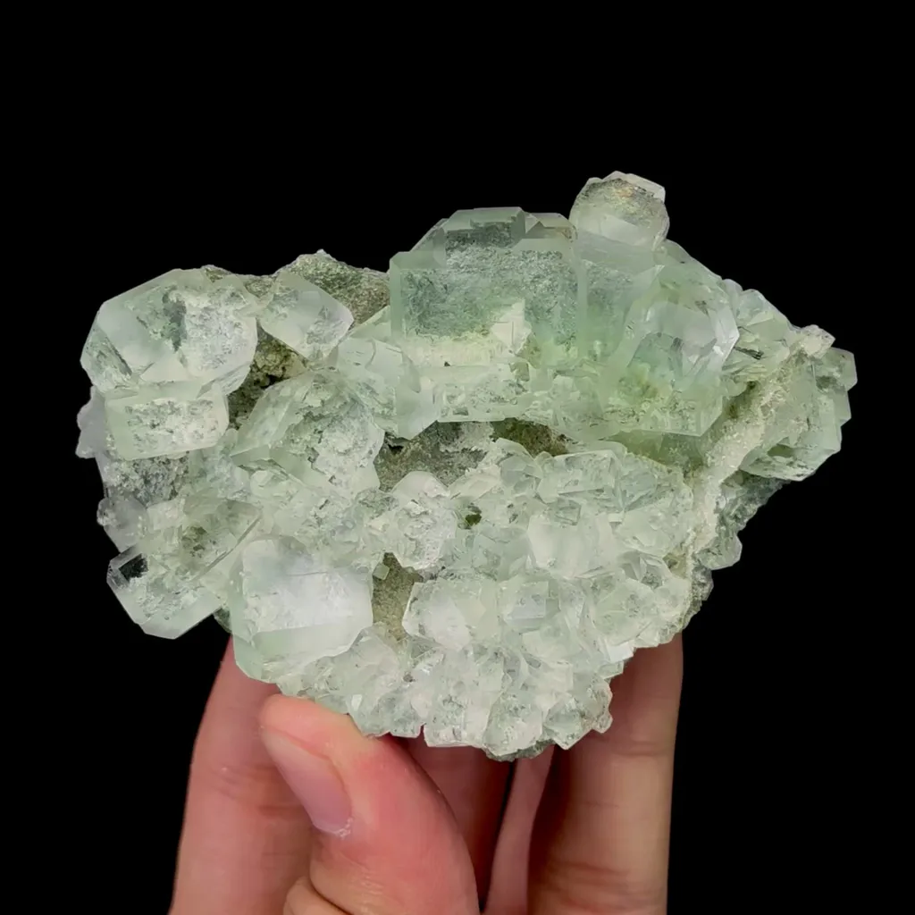 specimen video