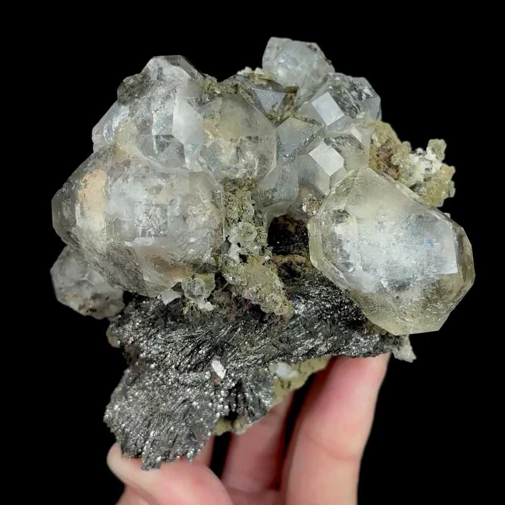 specimen video