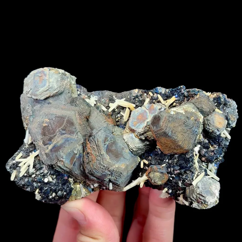 specimen video