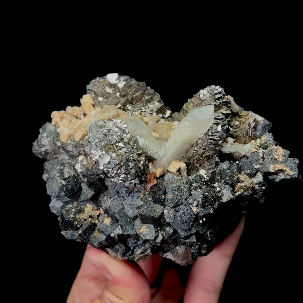 specimen video
