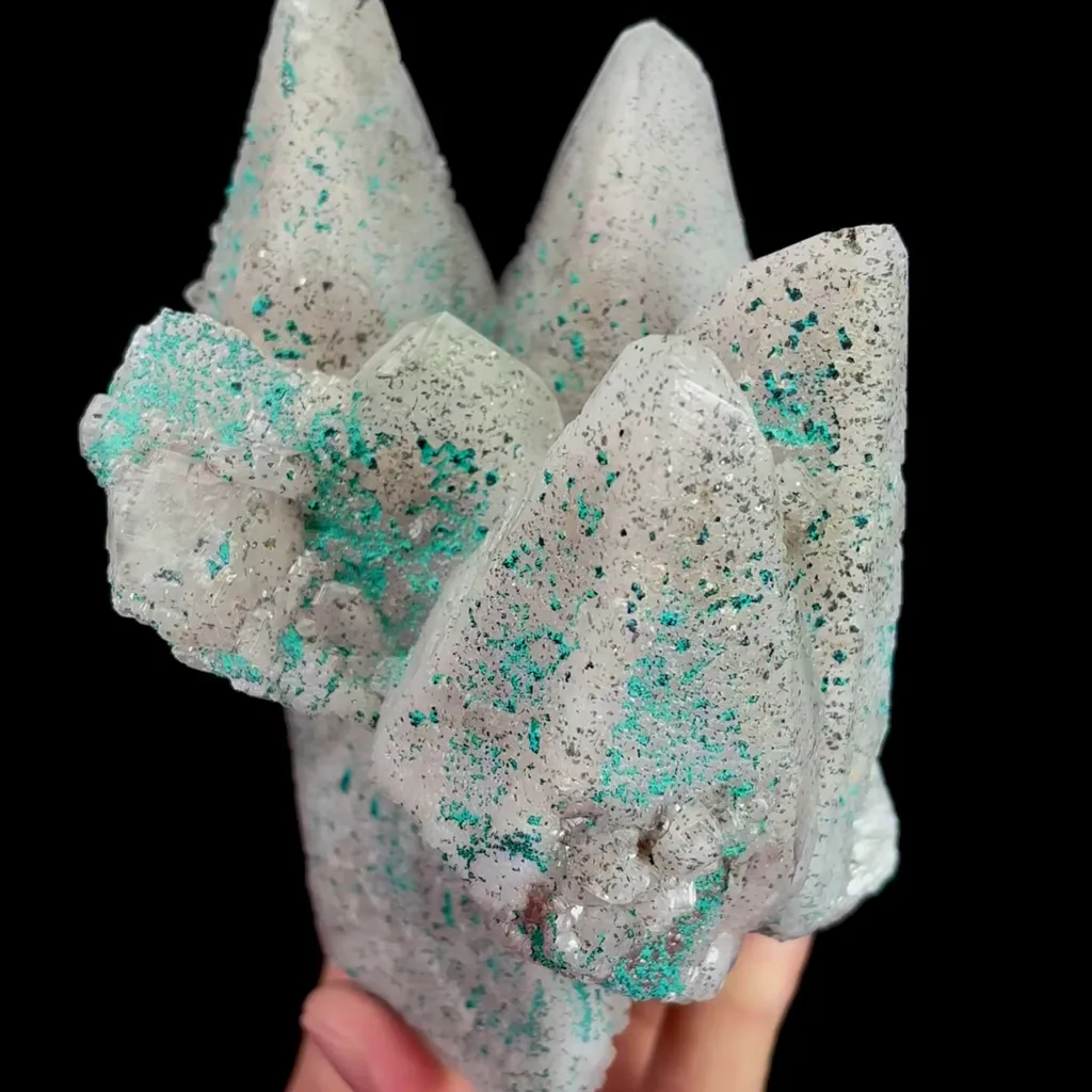 specimen video