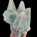 specimen video