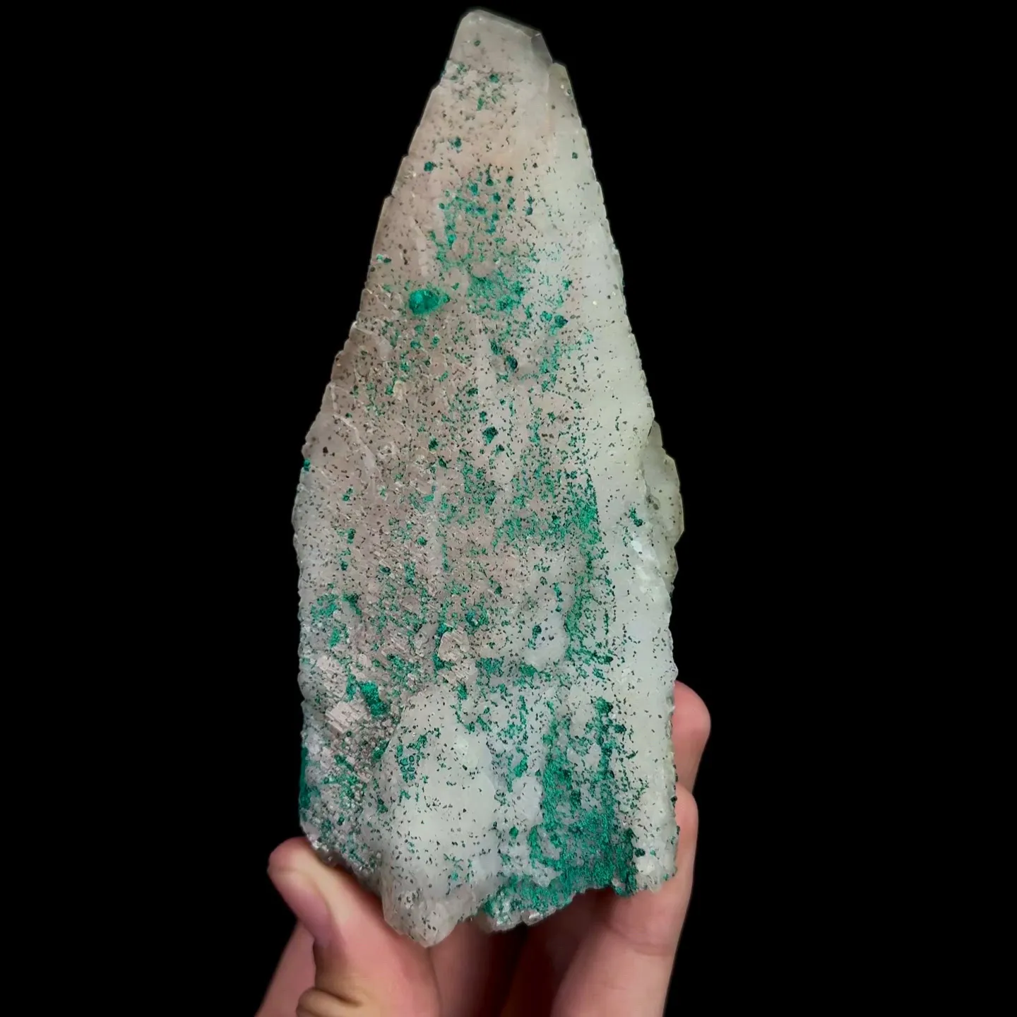 specimen video