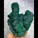 specimen video