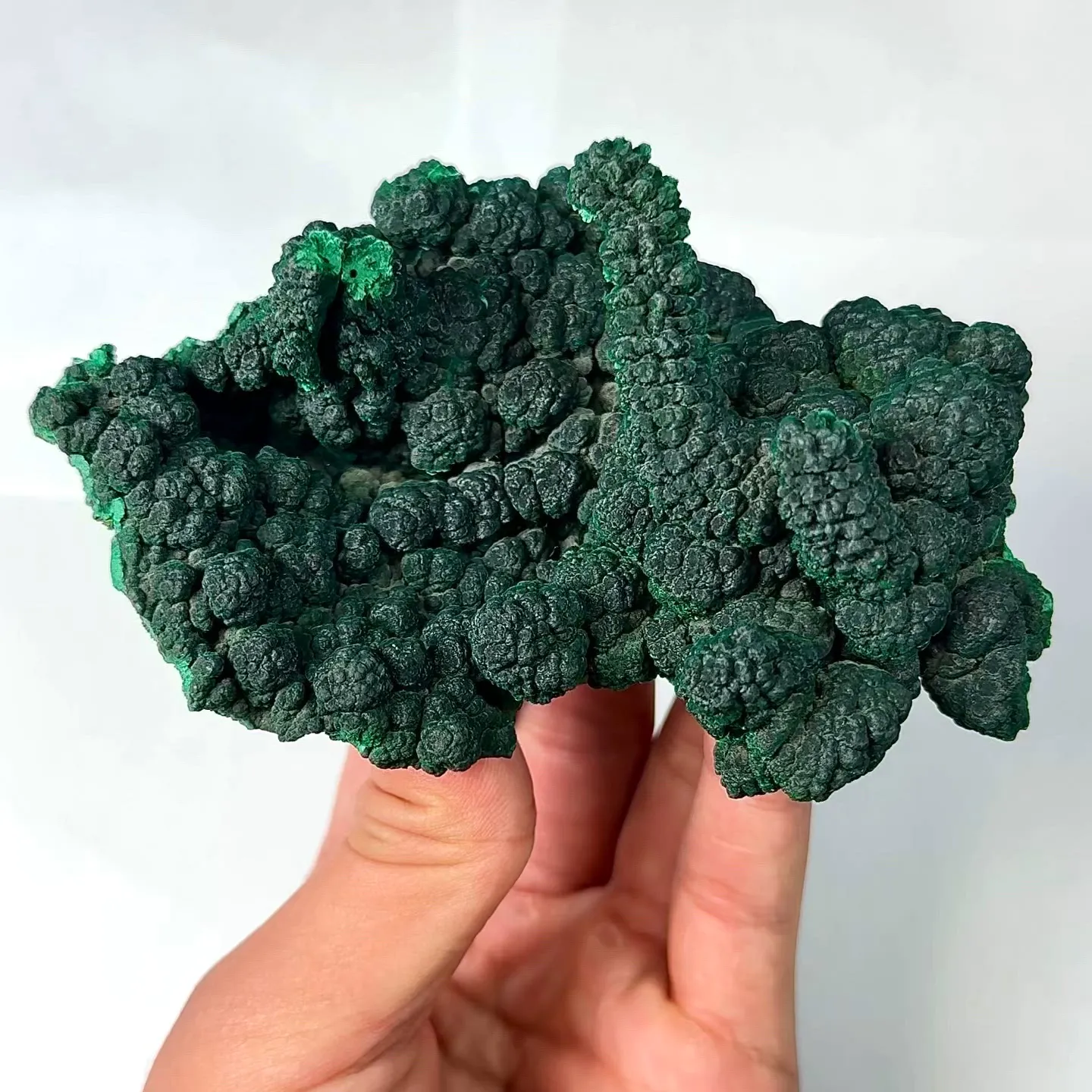 specimen video