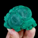 specimen video