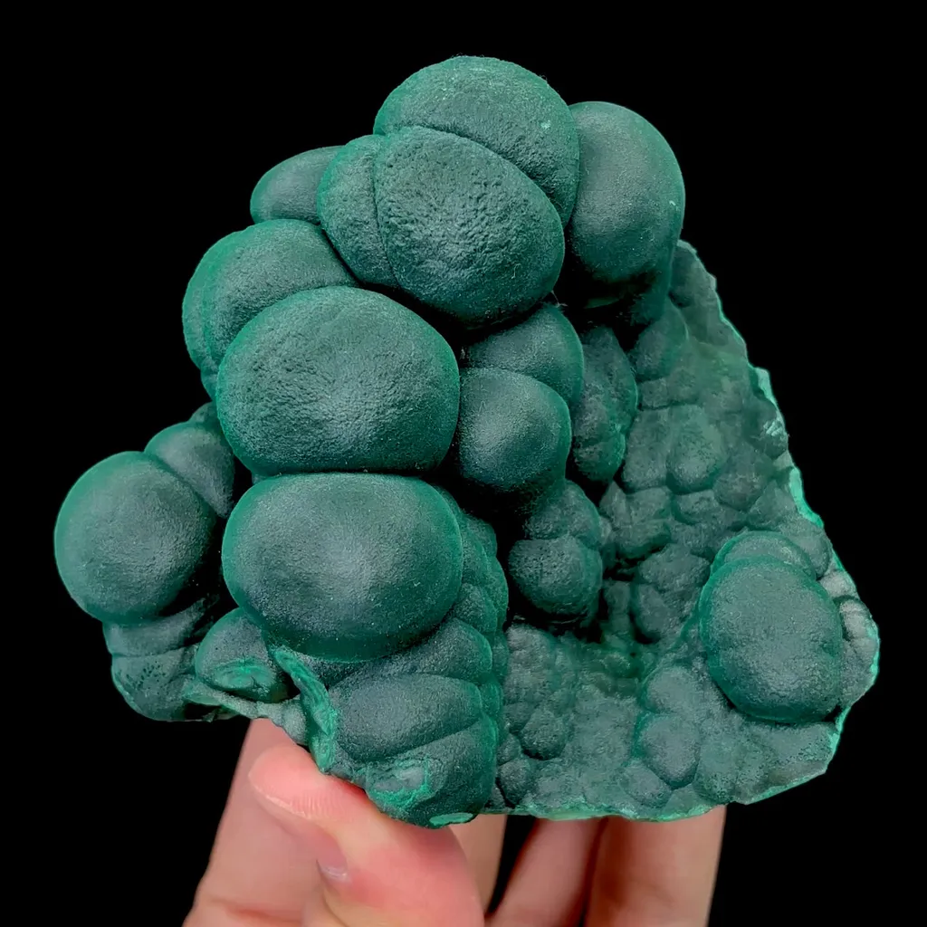specimen video