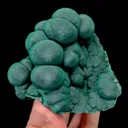 specimen video