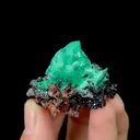 specimen video
