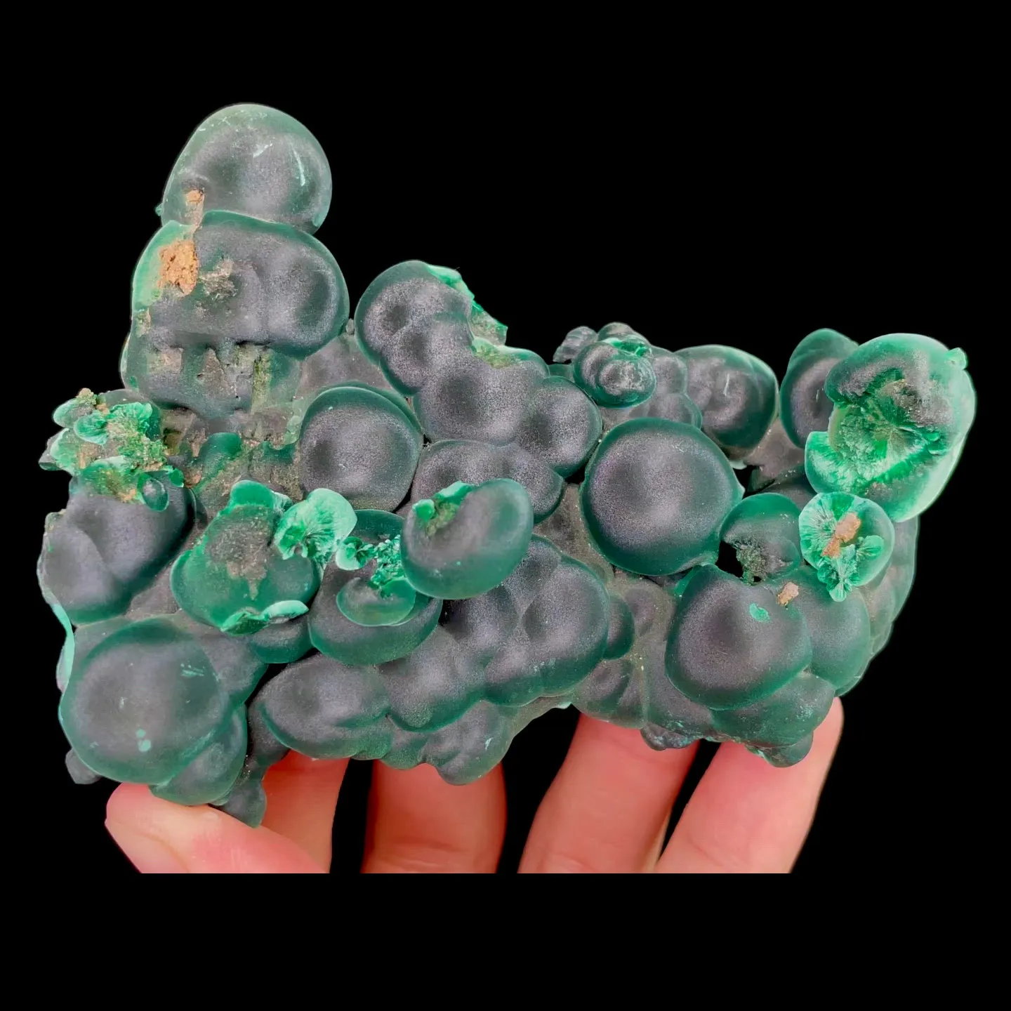 specimen video