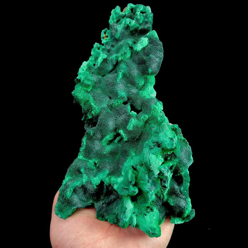specimen video