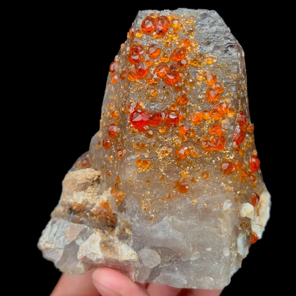 specimen video
