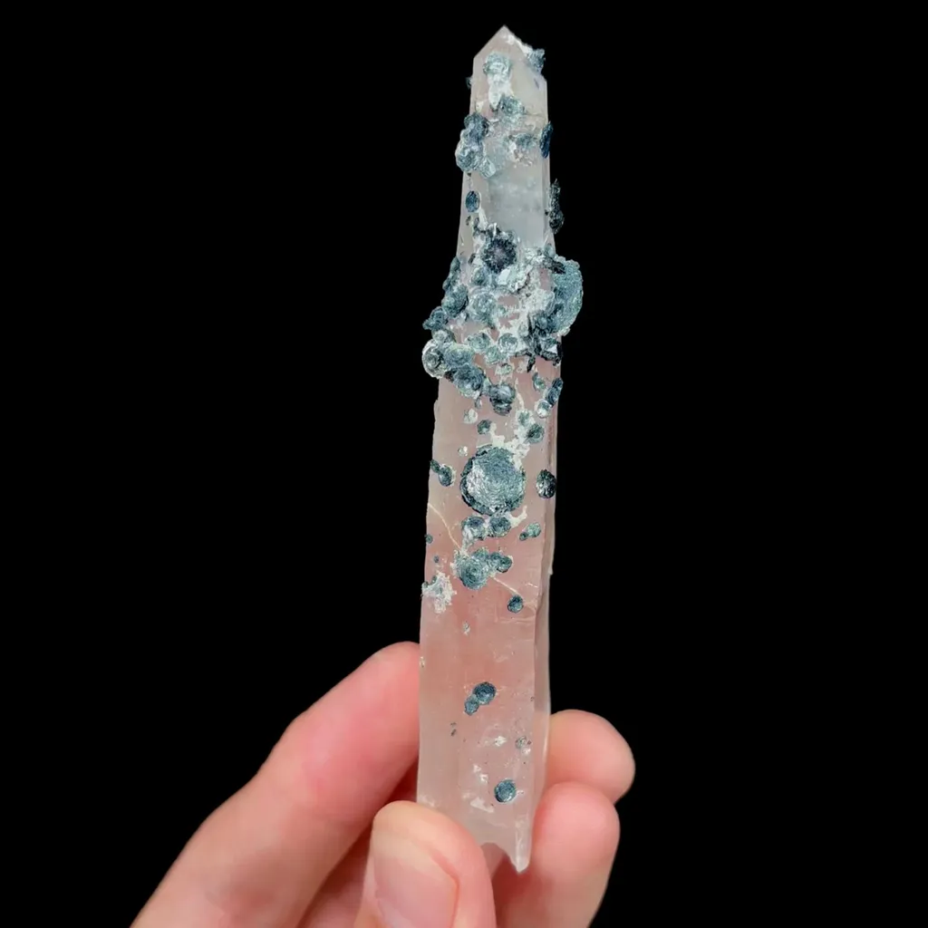 specimen video