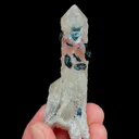 specimen video