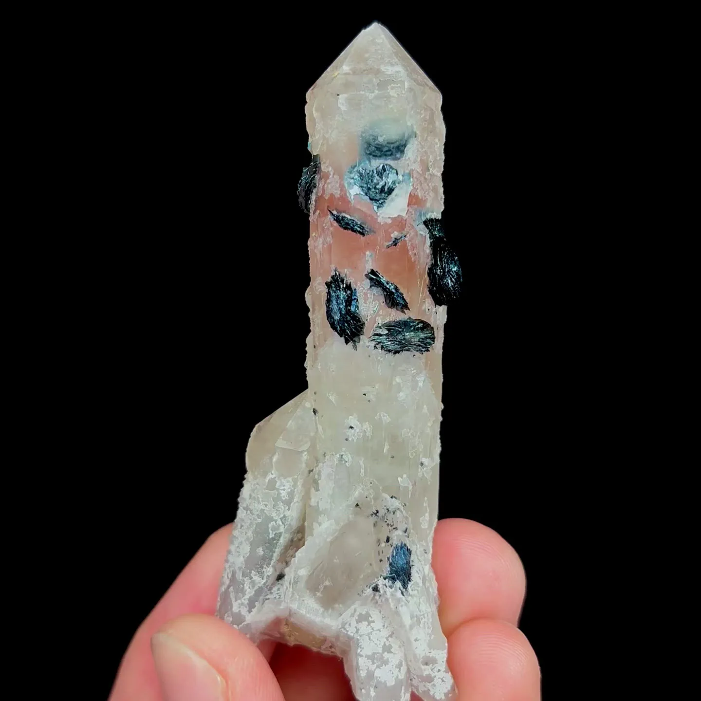 specimen video
