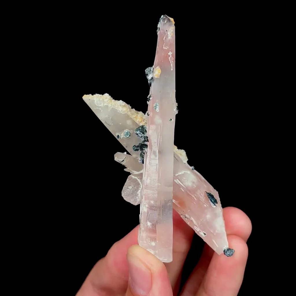specimen video