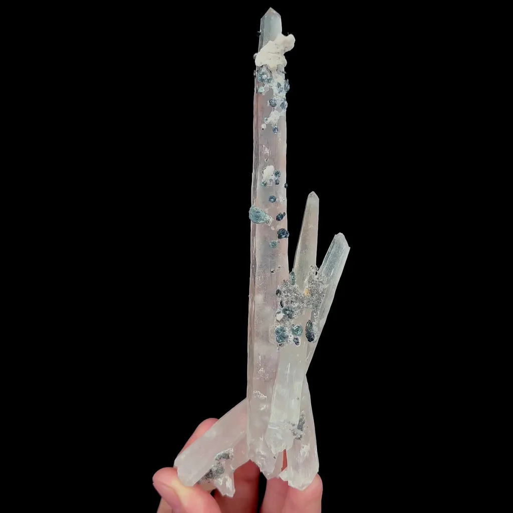 specimen video