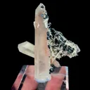 specimen video