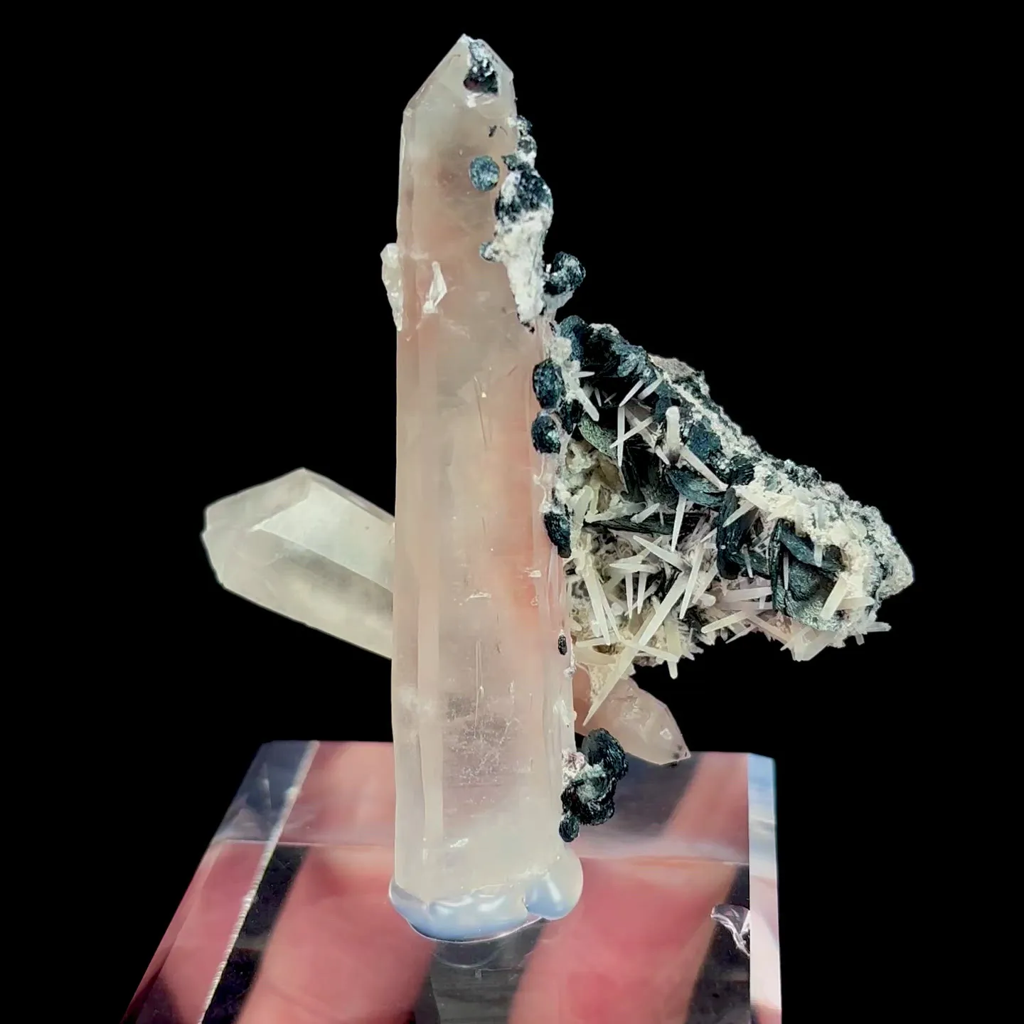 specimen video