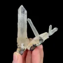 specimen video