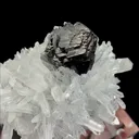 Natural Marmatite and Clear Quartz Cluster, Mineral Specimen: Peru (105*75*60MM) - image 4