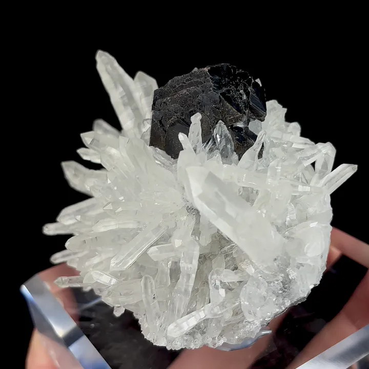 Natural Marmatite and Clear Quartz Cluster, Mineral Specimen: Peru (105*75*60MM) image